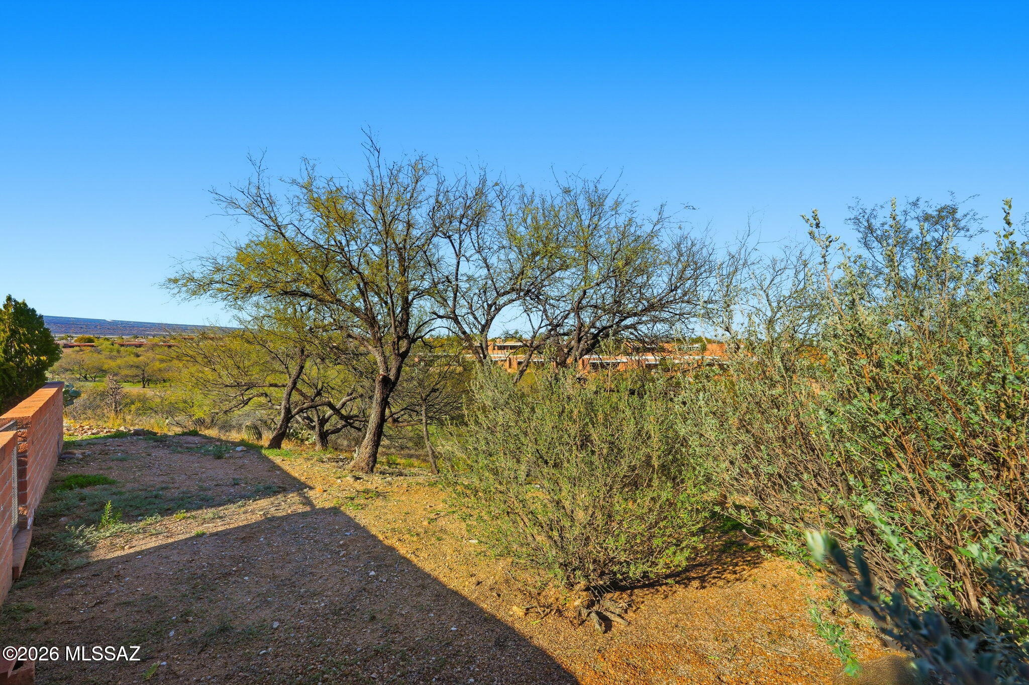 1040 W Camino Del Pato