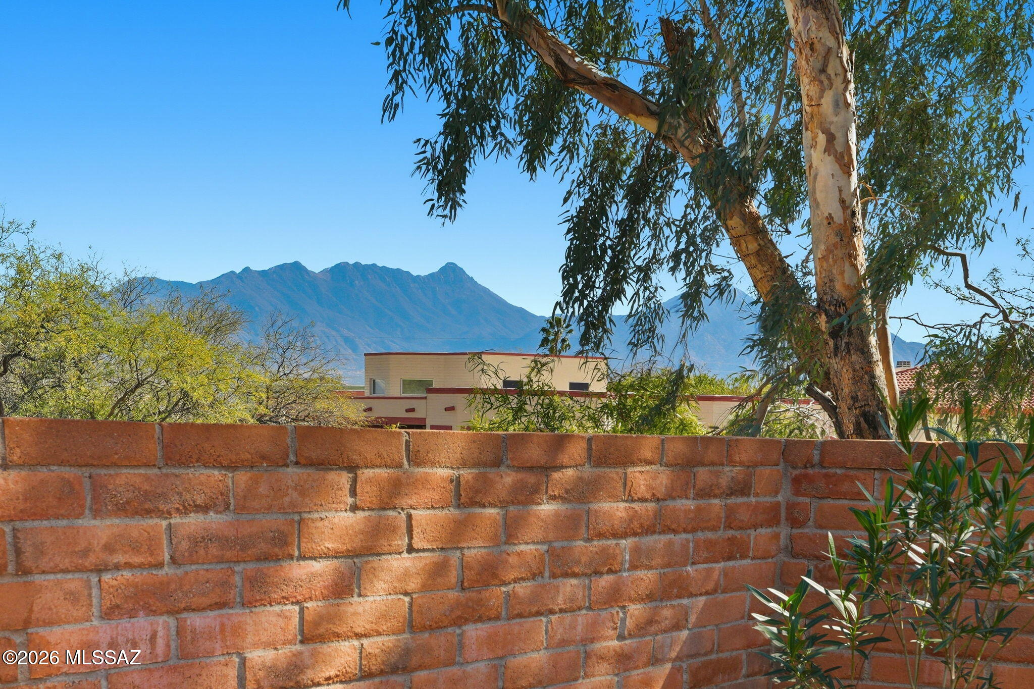 851 W Calle De Emilia