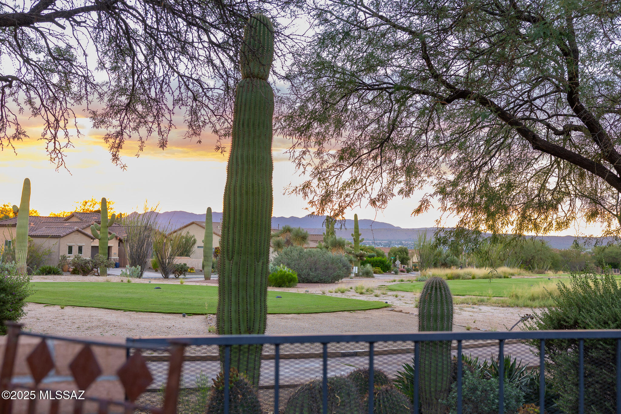 1950 E Desert Lark Ps E