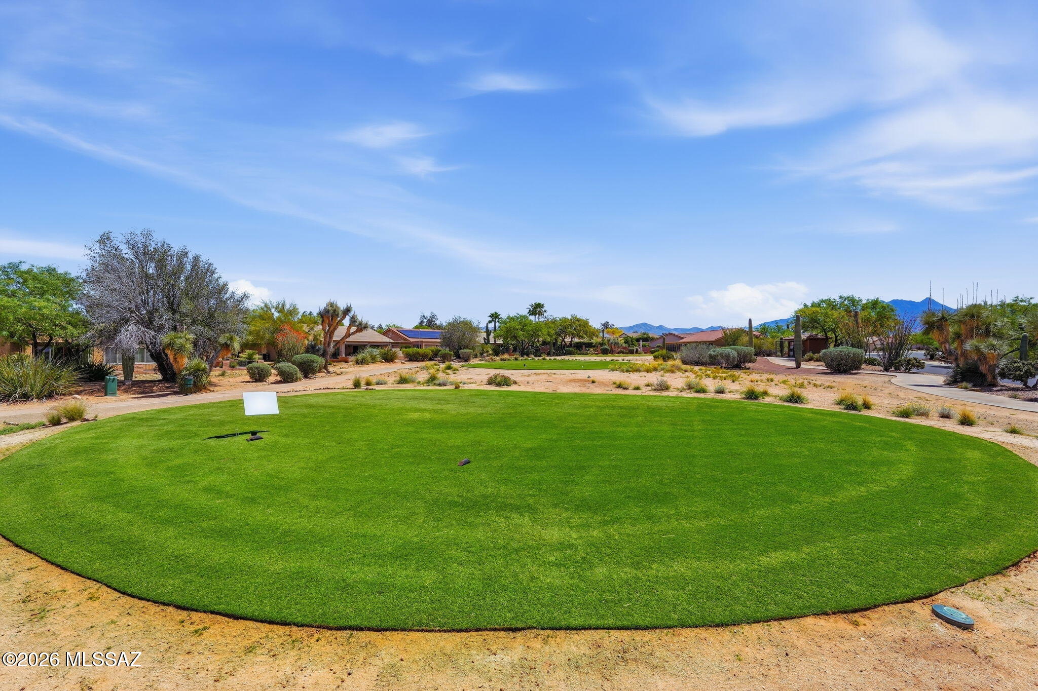 1950 E Desert Lark Ps E