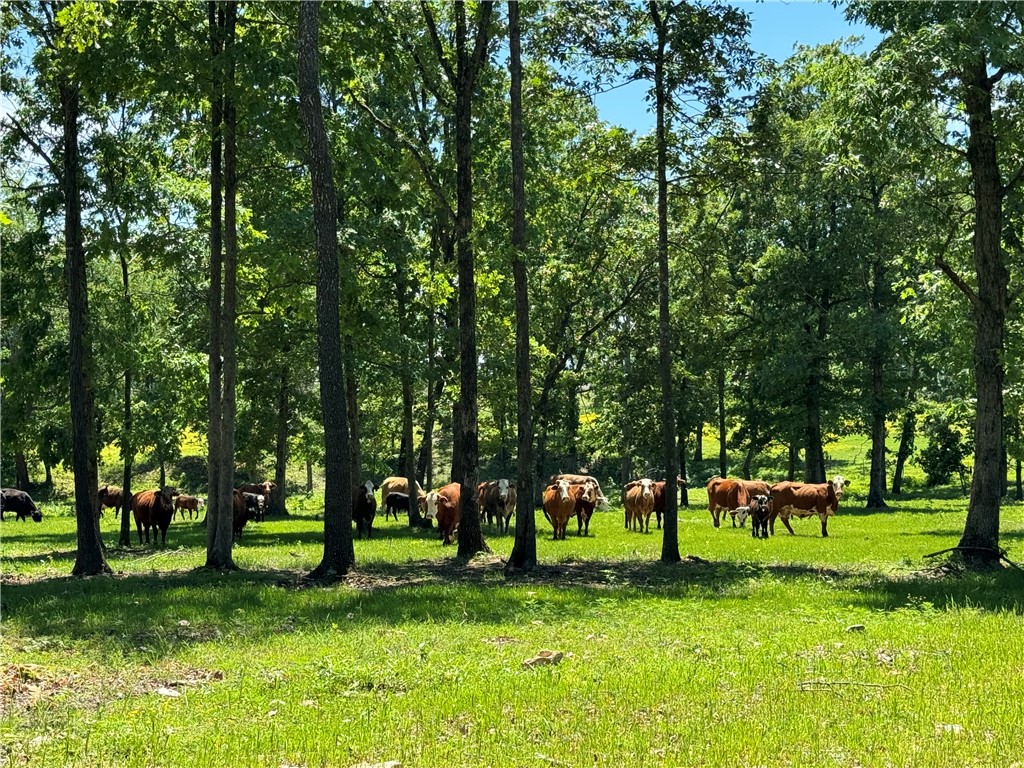 18001 Pepper Hills Drive