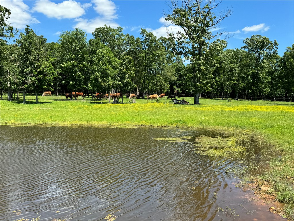 18001 Pepper Hills Drive