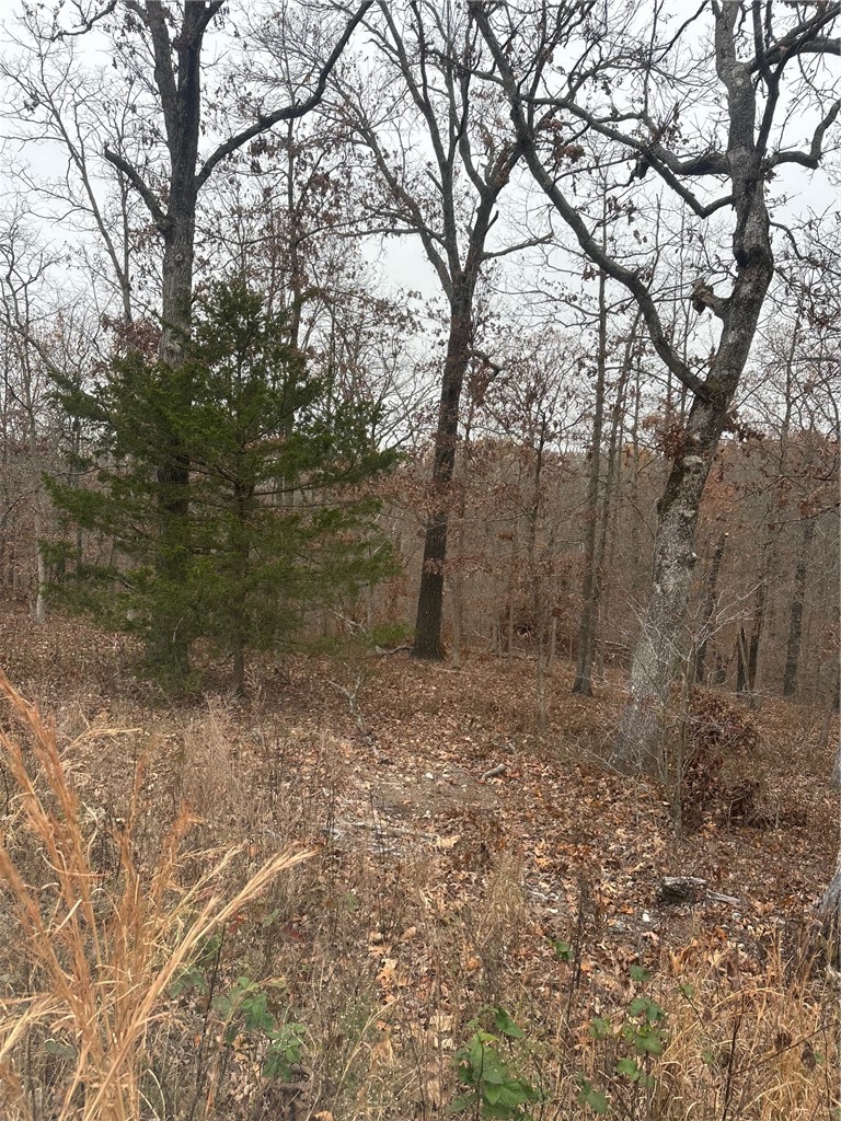 Lots 10 & 11 Crieff Circle