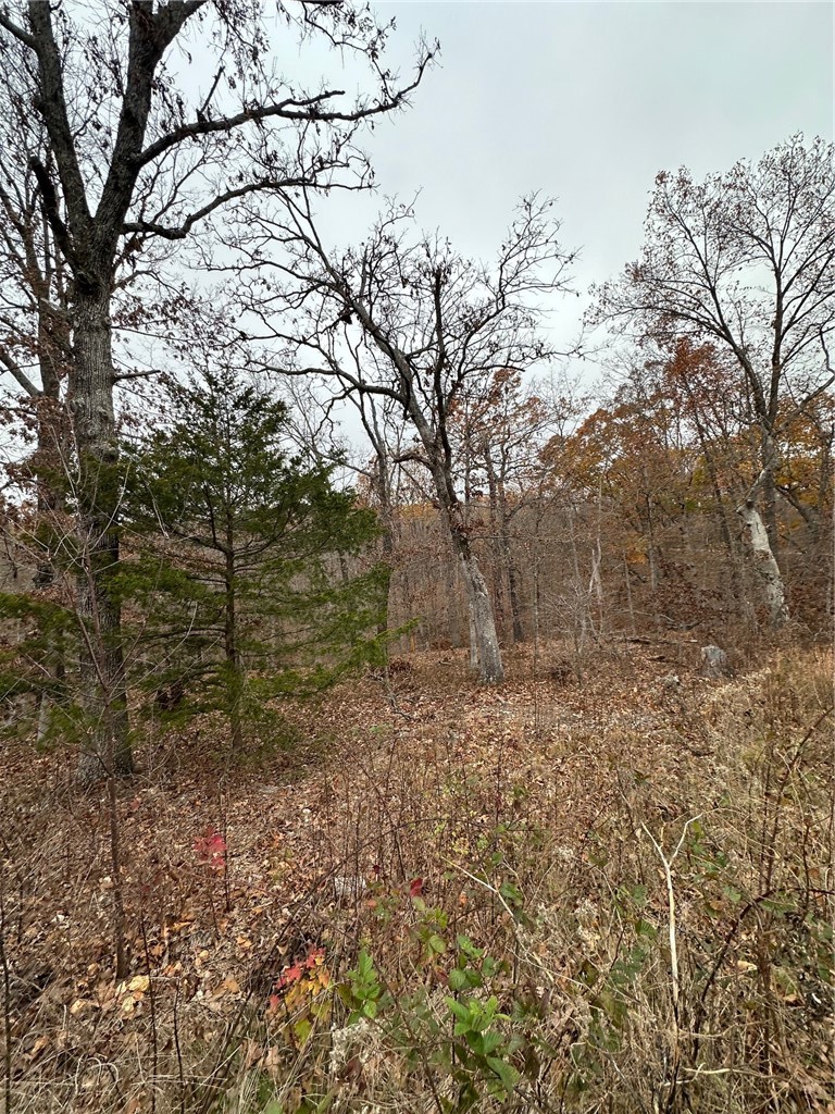 Lots 10 & 11 Crieff Circle