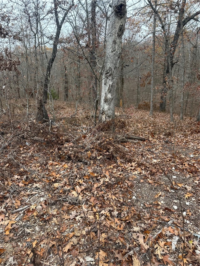 Lots 10 & 11 Crieff Circle