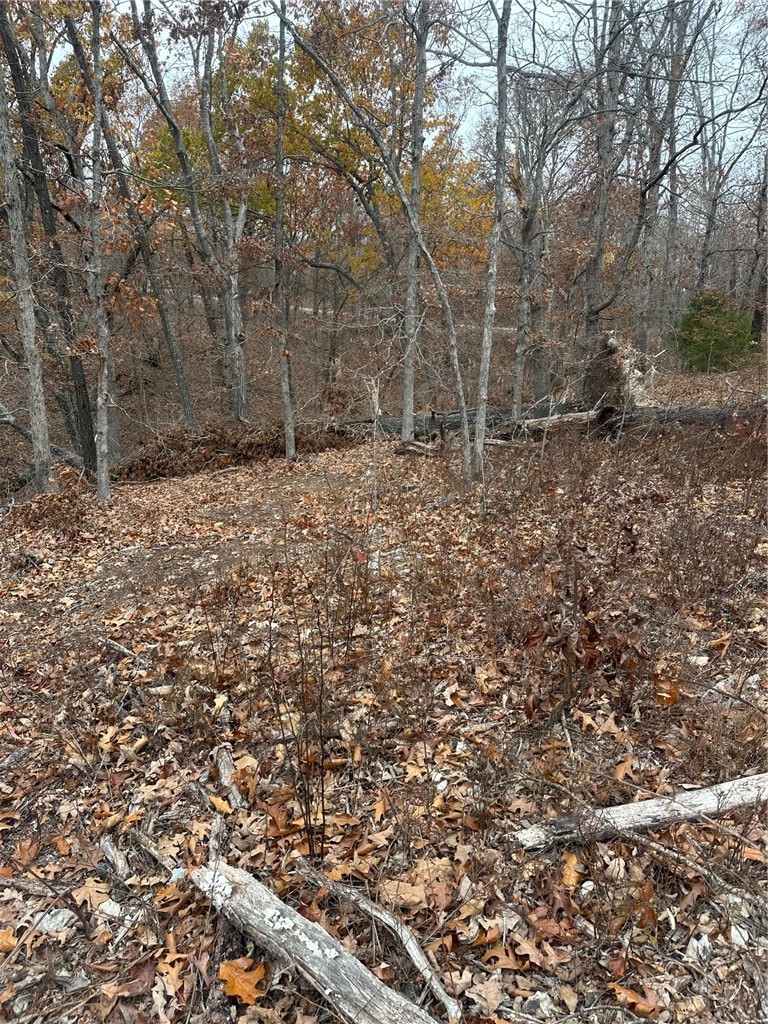 Lots 10 & 11 Crieff Circle