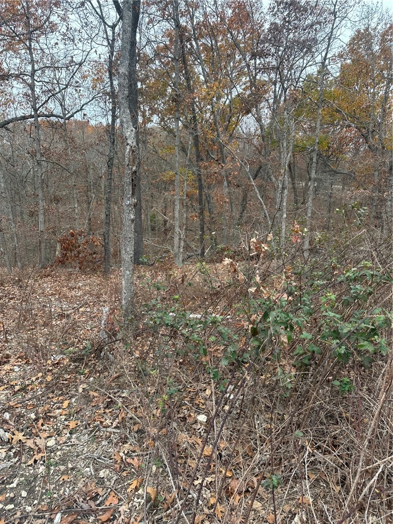 Lots 10 & 11 Crieff Circle