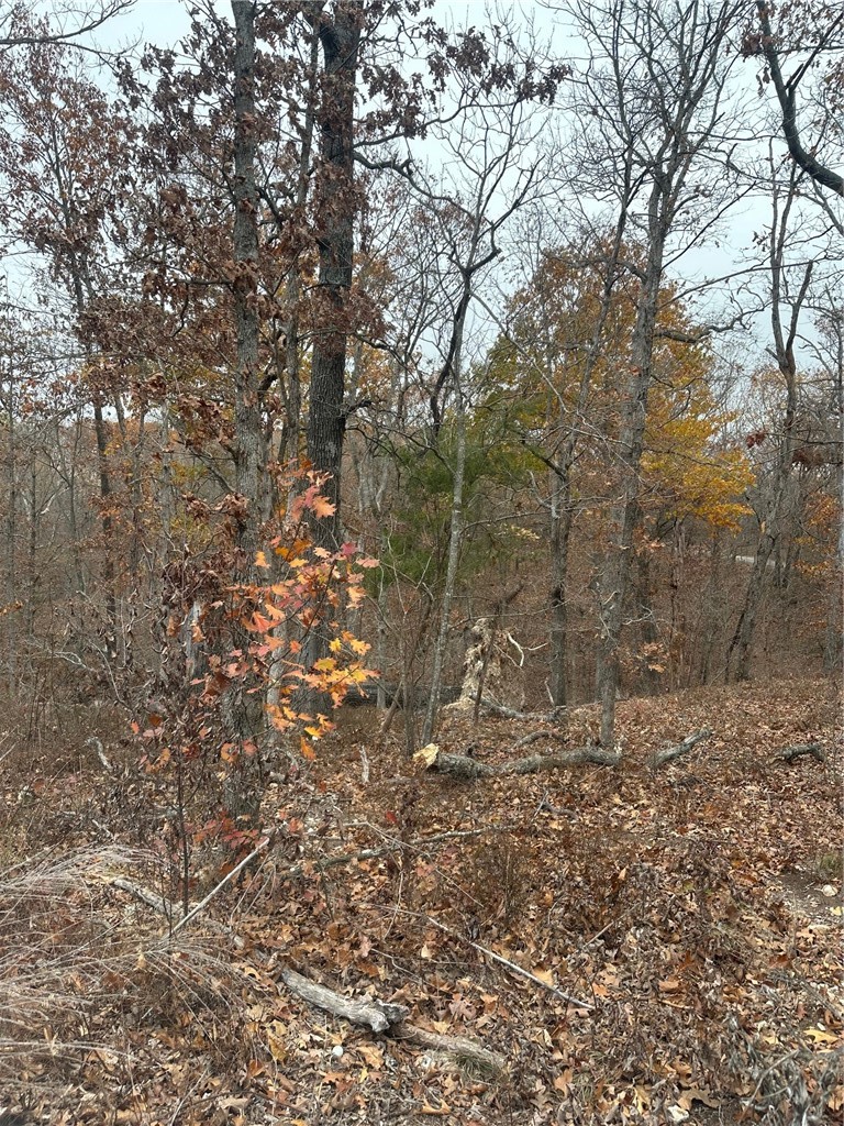 Lots 10 & 11 Crieff Circle