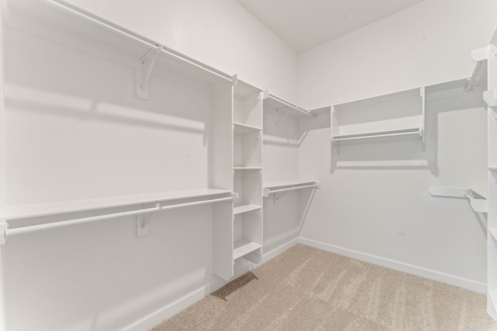 1914 Ferguson Street