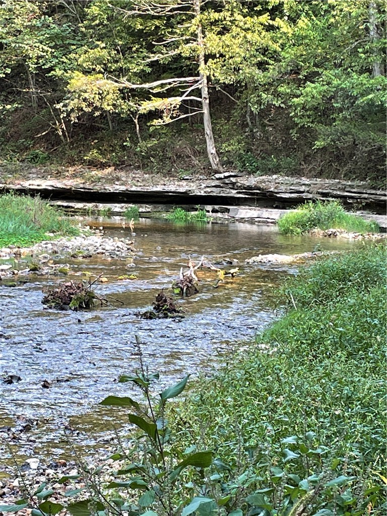 24530 & 24540 Coon Hollow Road