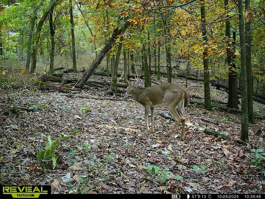 24530 & 24540 Coon Hollow Road