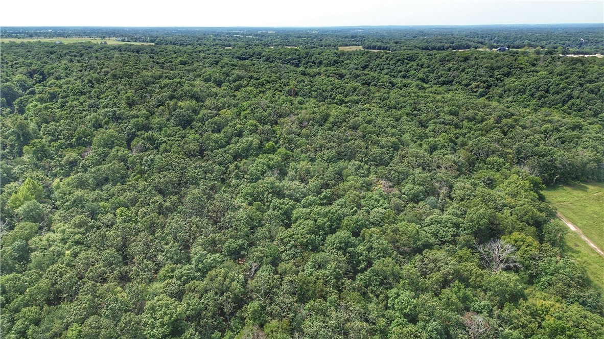 24530 & 24540 Coon Hollow Road