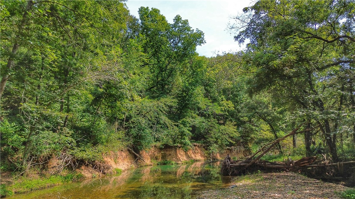 24530 & 24540 Coon Hollow Road