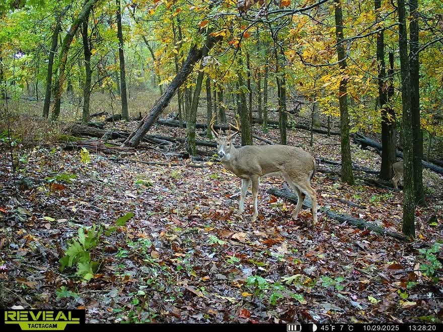 24530 & 24540 Coon Hollow Road