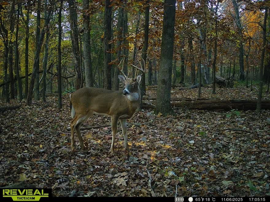24530 & 24540 Coon Hollow Road