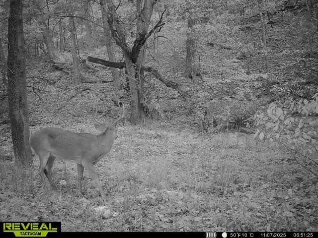24530 & 24540 Coon Hollow Road