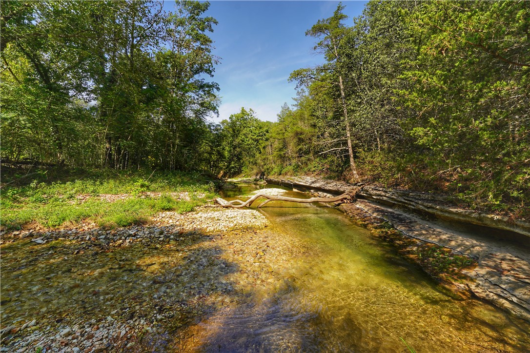 24530 & 24540 Coon Hollow Road