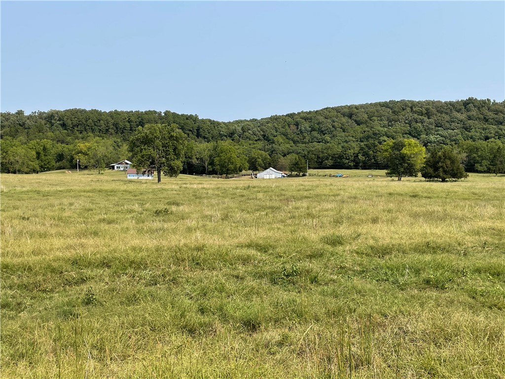 24530 & 24540 Coon Hollow Road