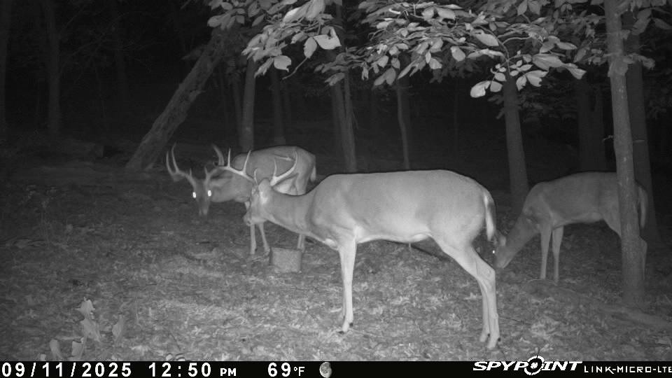 24530 & 24540 Coon Hollow Road
