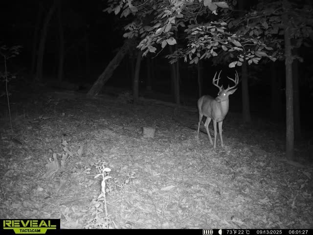 24530 & 24540 Coon Hollow Road