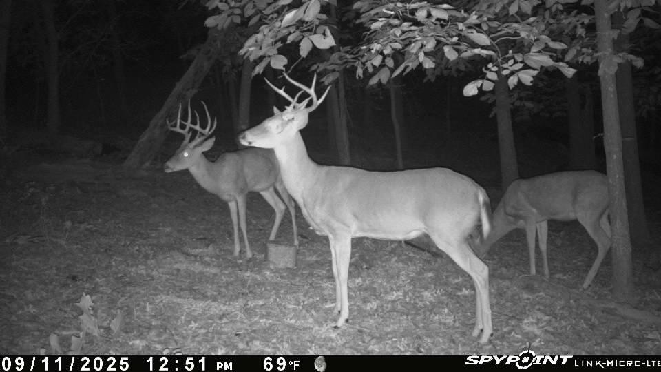 24530 & 24540 Coon Hollow Road