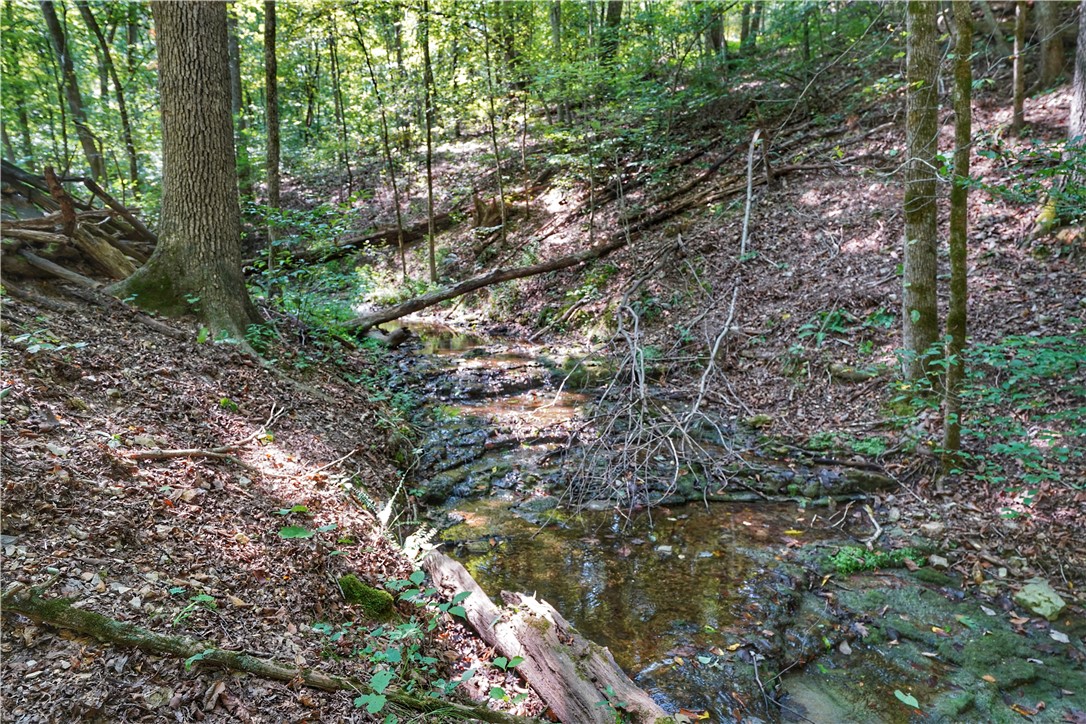 24530 & 24540 Coon Hollow Road