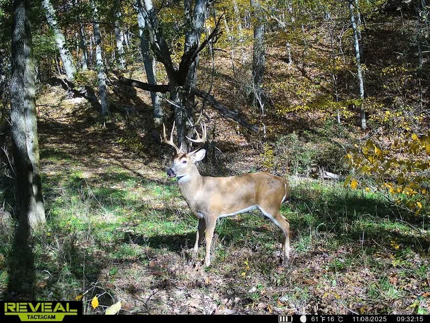 24530 & 24540 Coon Hollow Road