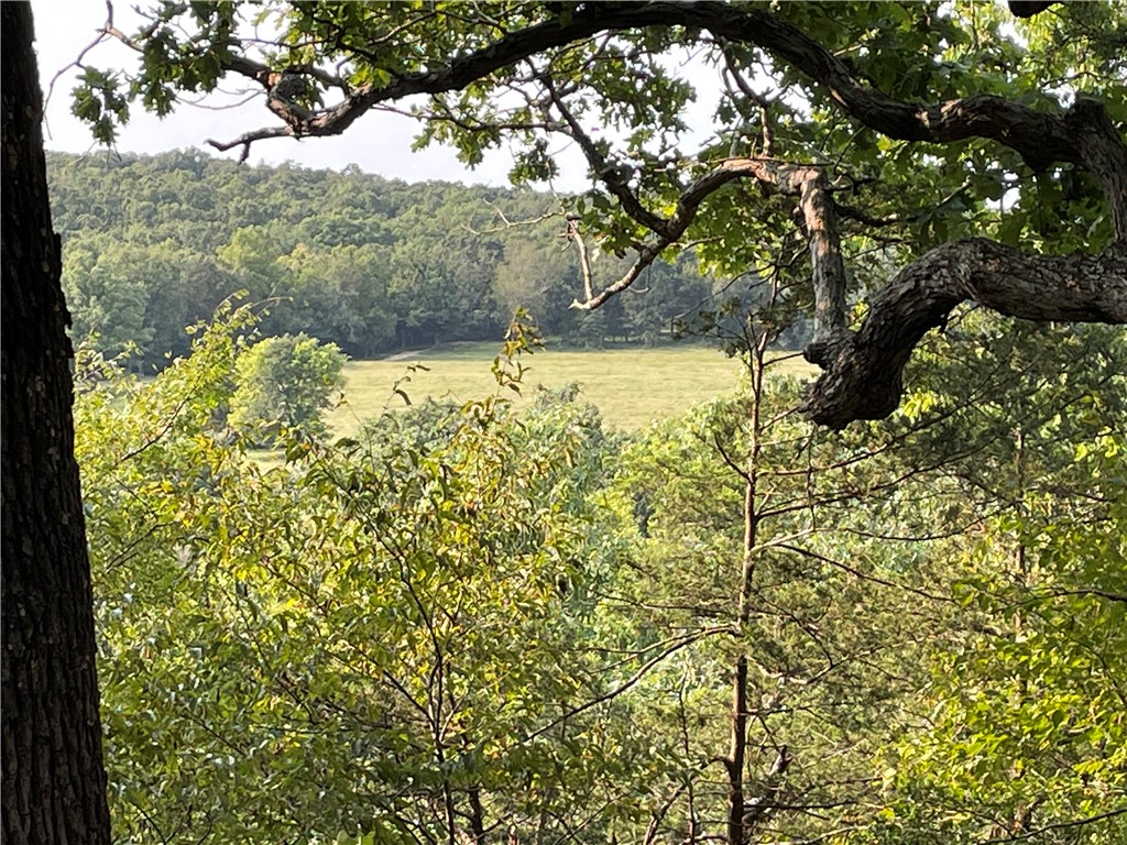 24530 & 24540 Coon Hollow Road