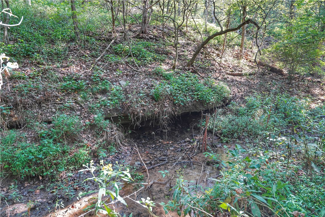 24530 & 24540 Coon Hollow Road