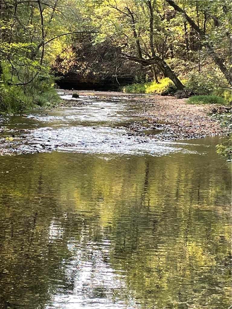 24530 & 24540 Coon Hollow Road