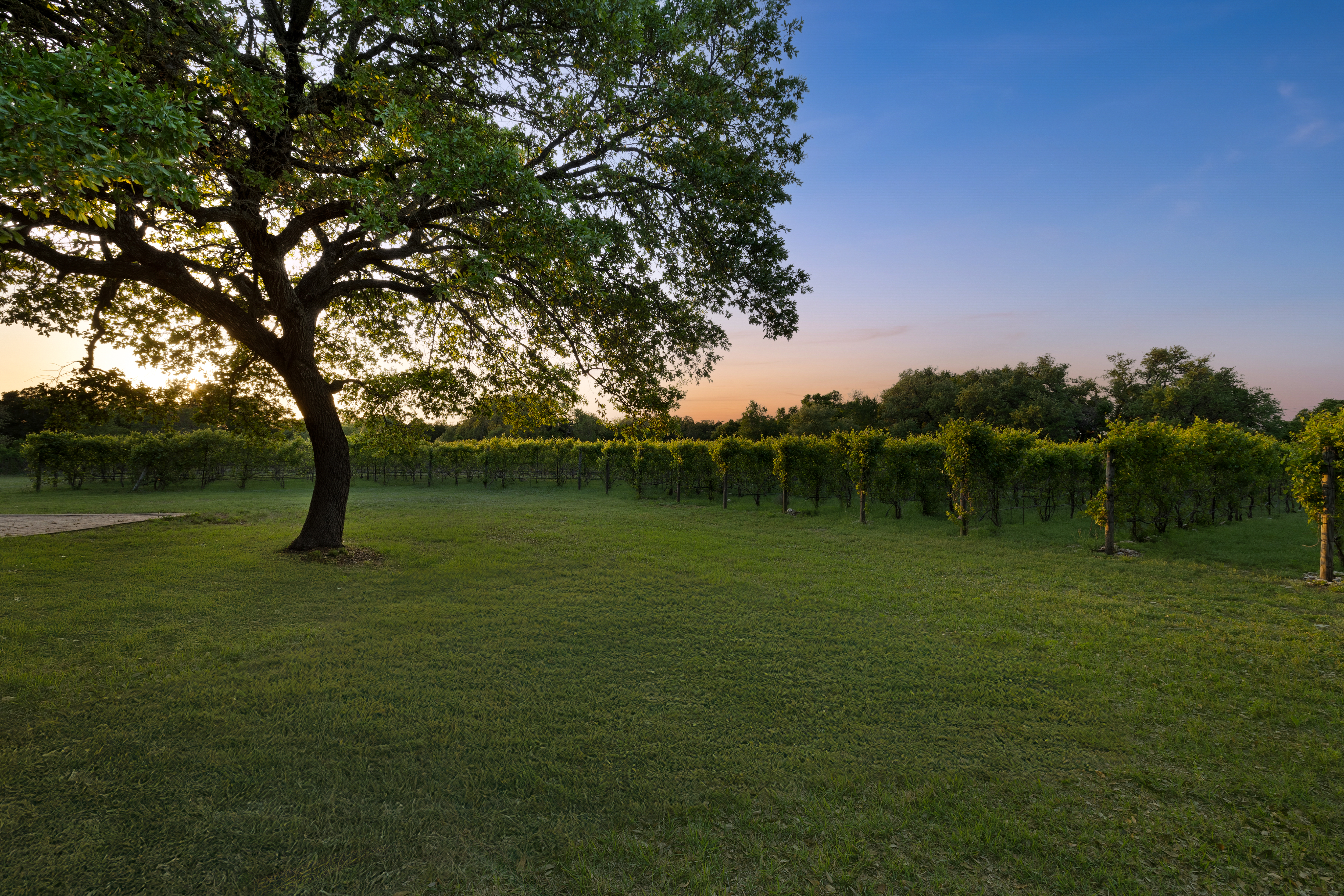 18059 Farm to Market Road 1826 