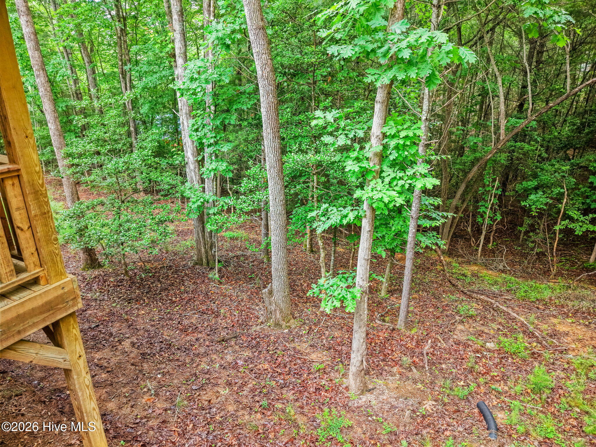 207 Bentley Cove