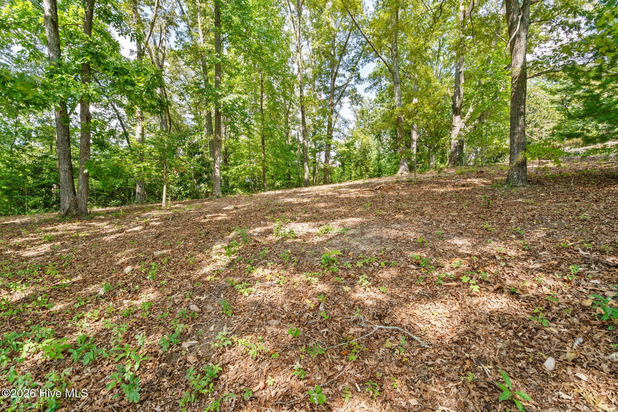 314 Lakeside Drive