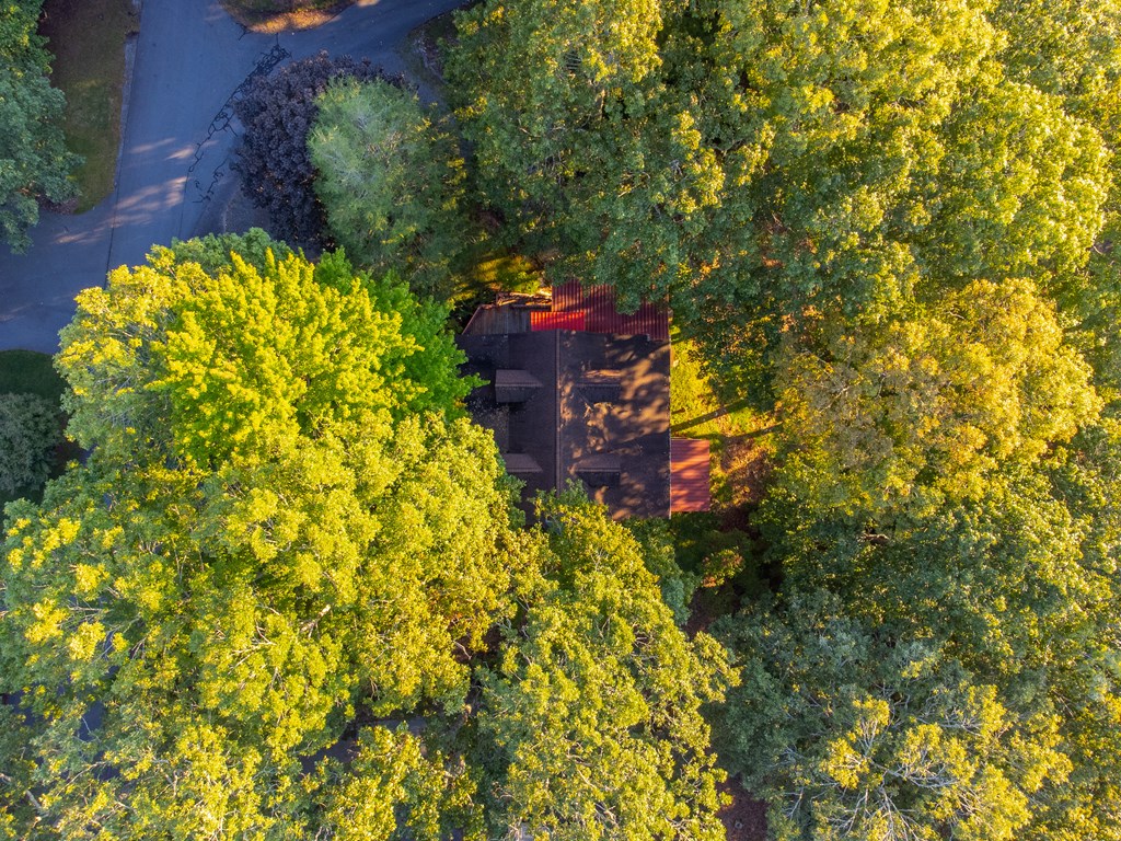 1014 Smokerise Drive