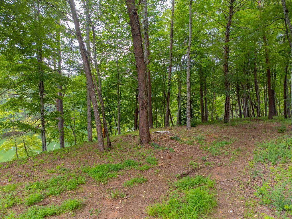 270 Deyton Camp Road