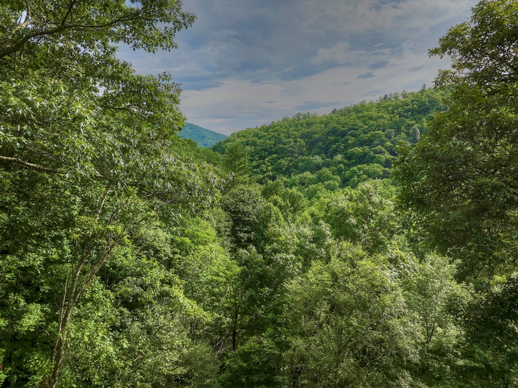 127 Whataview Drive