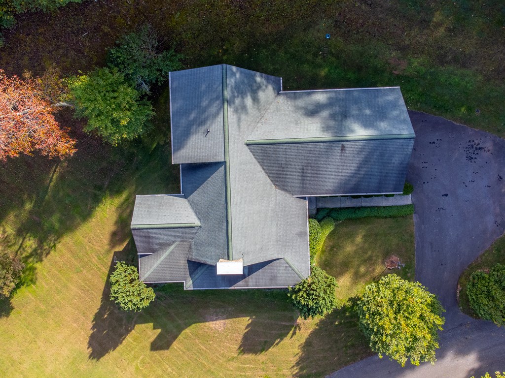 25 Black Oak