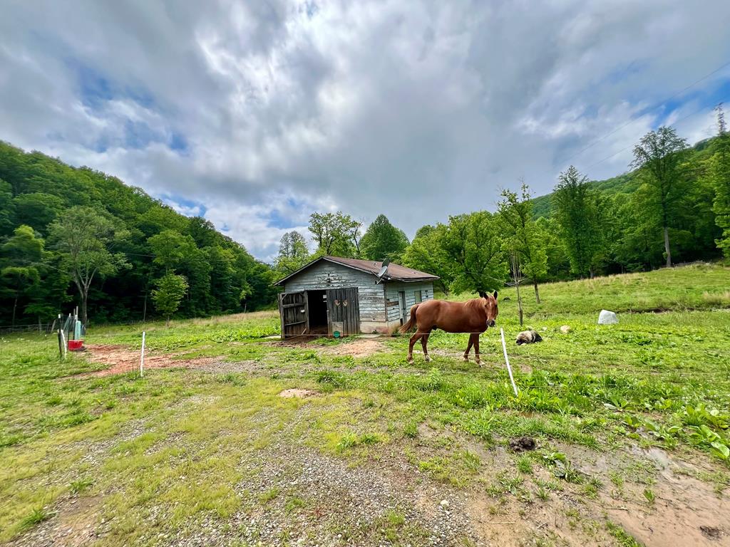 3325 Pack Mountain Road