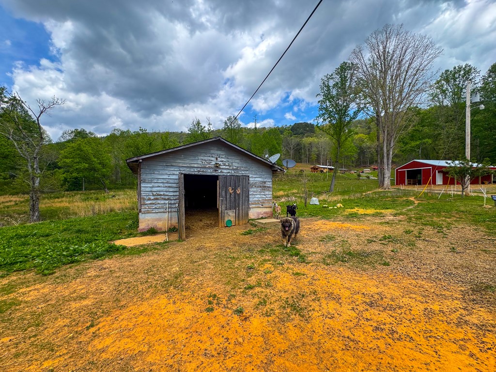 3325 Pack Mountain Road