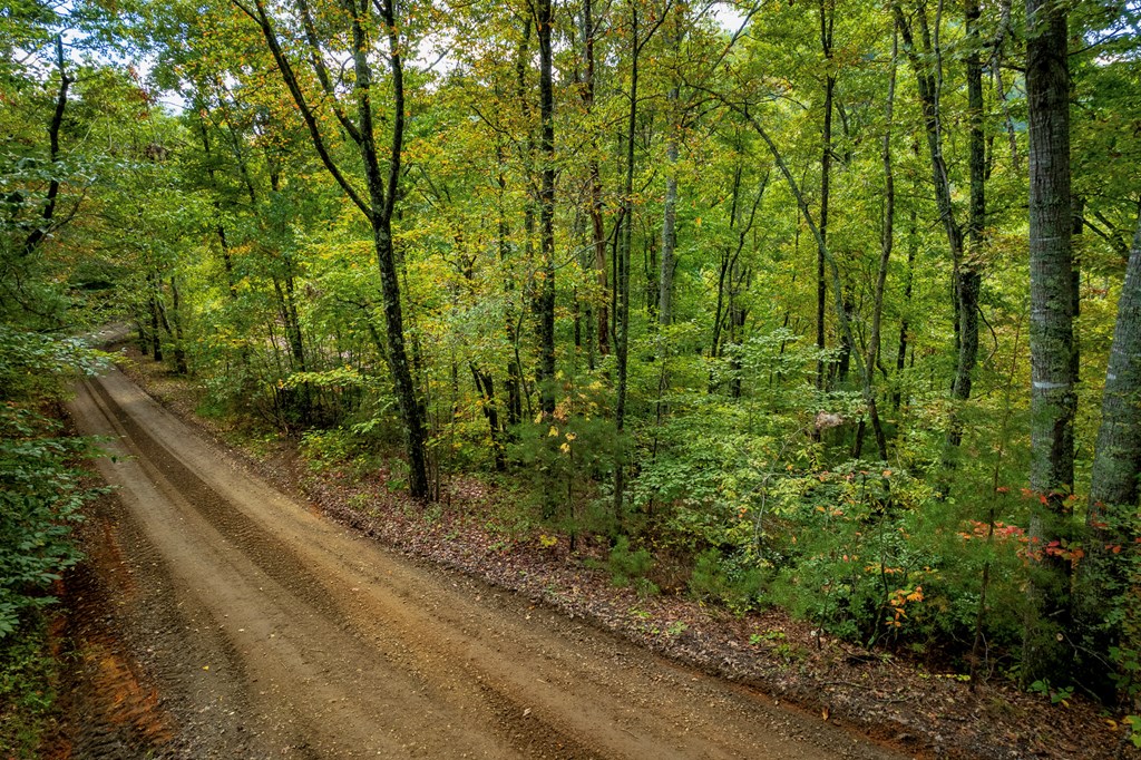 Lot #2 Fullwood Lane LOT 2