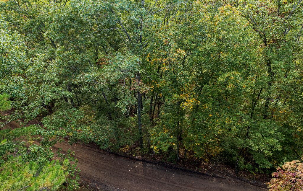 Lot #2 Fullwood Lane LOT 2
