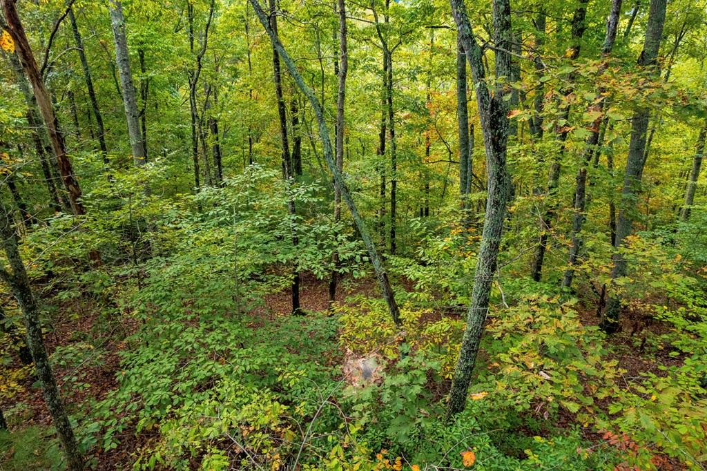 Lot #2 Fullwood Lane LOT 2