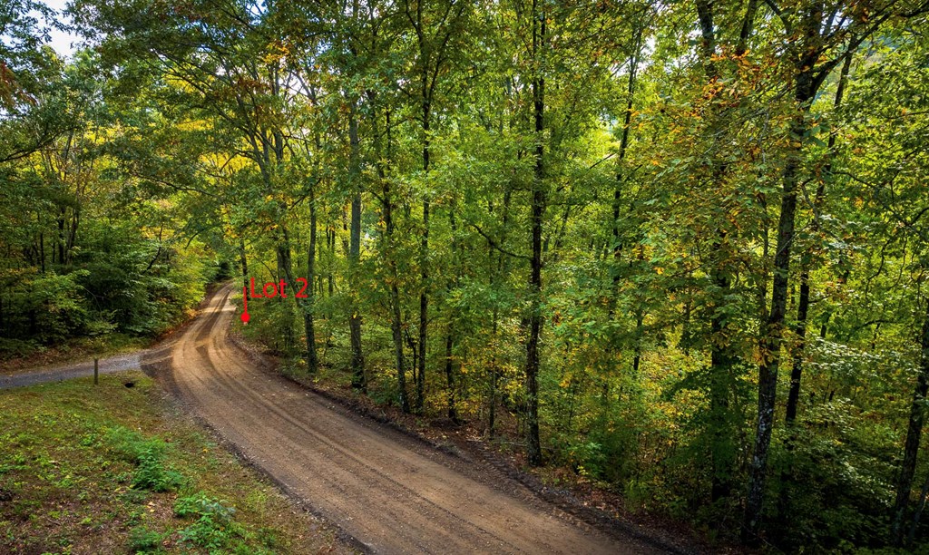 Lot #2 Fullwood Lane LOT 2