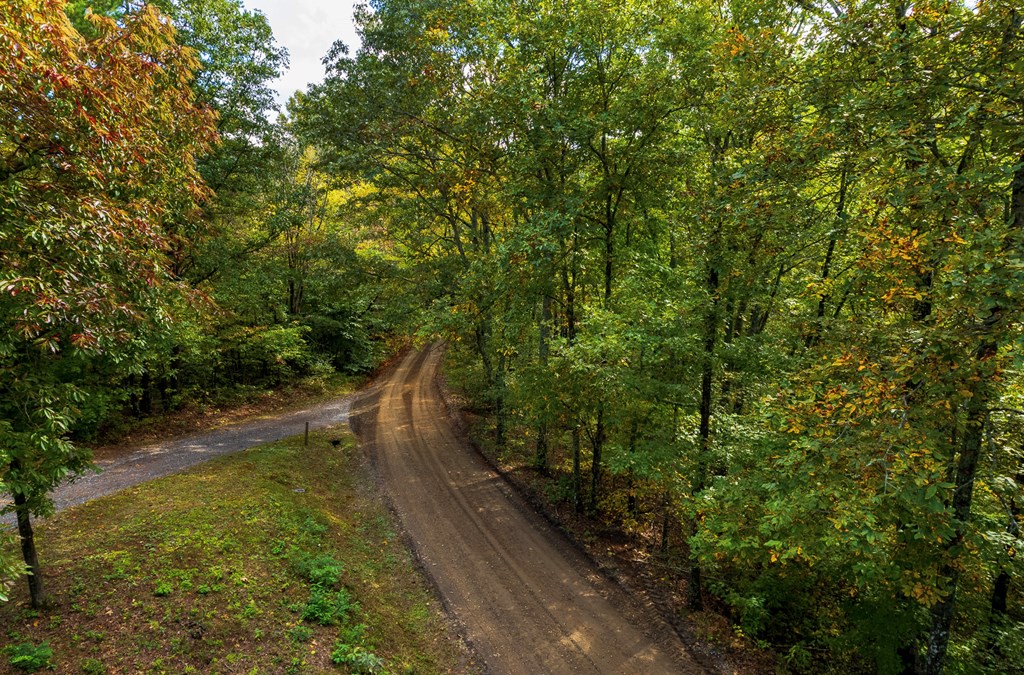 Lot #2 Fullwood Lane LOT 2