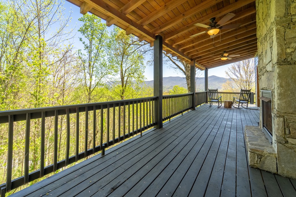 315 Black Bear Xing