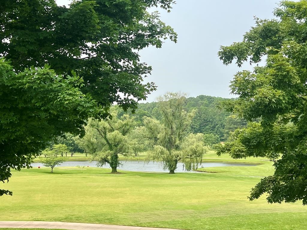 0 Ash Branch Circle LOT 13 C