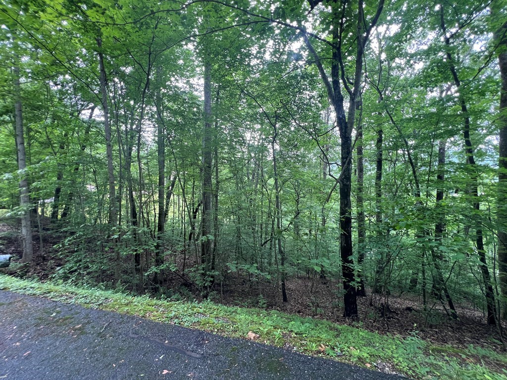 0 Ash Branch Circle LOT 13 C