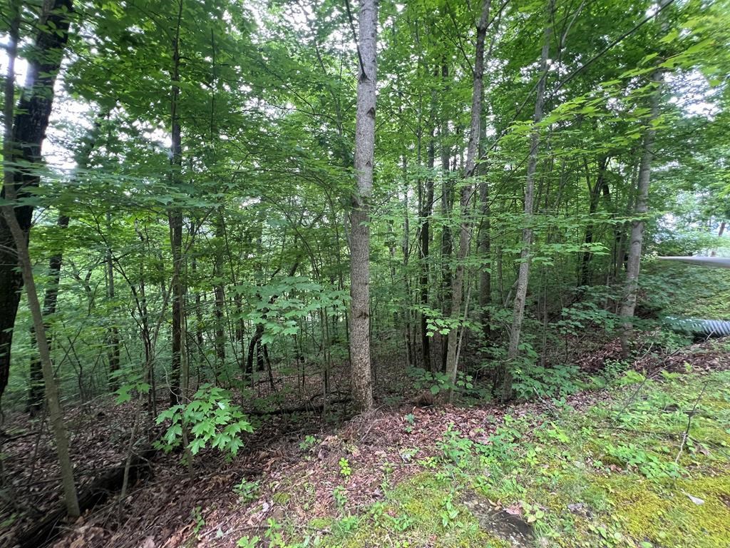 0 Ash Branch Circle LOT 13 C
