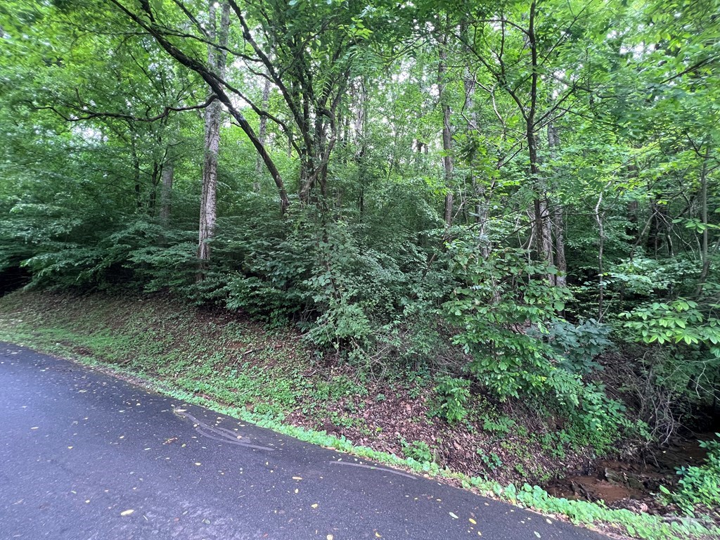 0 Ash Branch Circle LOT 13 C
