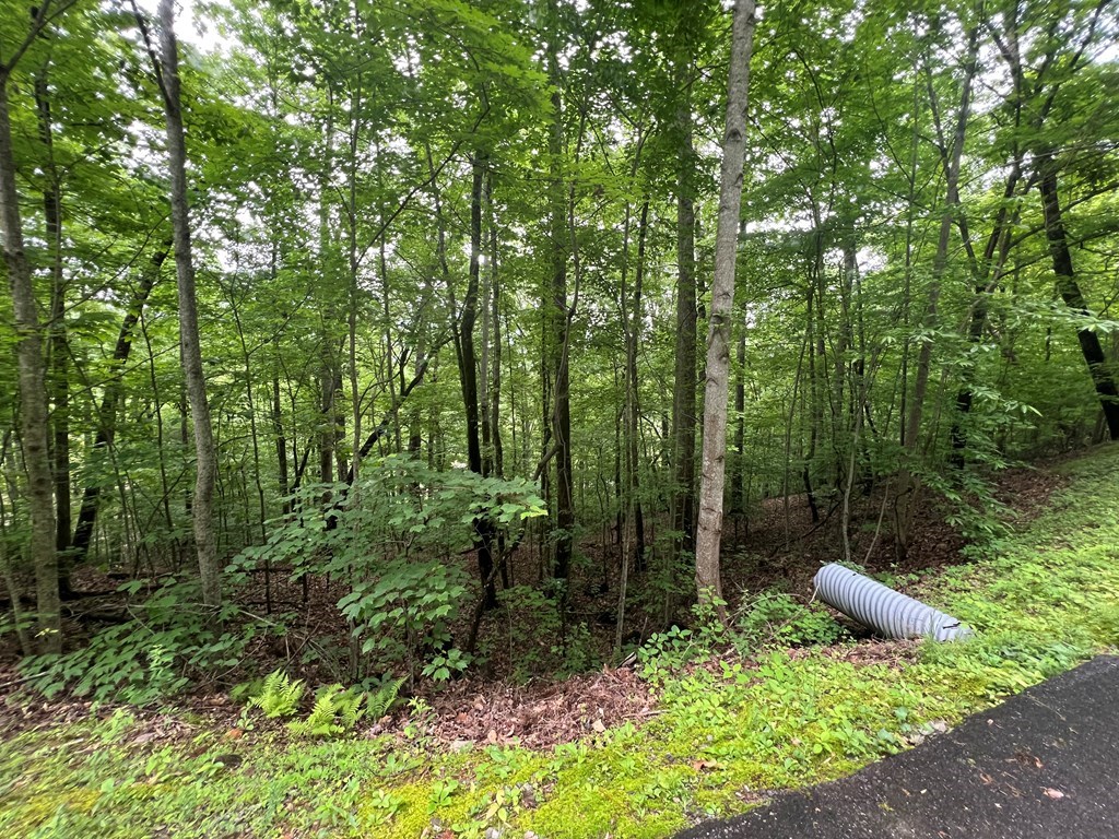 0 Ash Branch Circle LOT 13 C